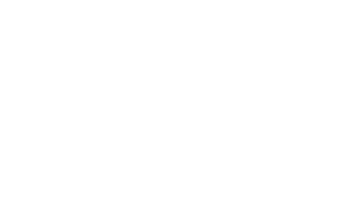Logo-Wiz