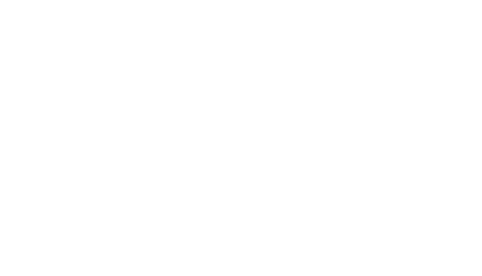 Veracode-blanco