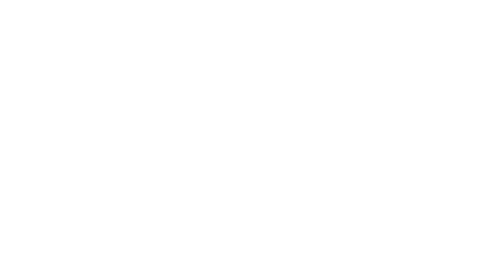 netskope-banco-2